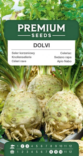 Seler korzeniowy Dolvi - duży korzeń, białokremowy, kruchy miąższ - 900 nasion