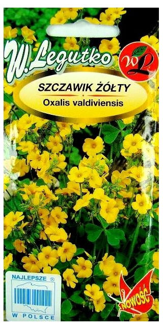 Szczawik żółty - 180 nasion