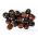 Pomidor wysoki - Black cherry - 60 nasion