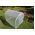 Ogrodowy tunel foliowy - 4,0 x 10,0 m