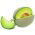 Melon Model - 45 nasion