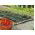 Folia perforowana do ściółkowania truskawek - 1,4 m x 10 m