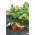 Folia perforowana do ściółkowania truskawek - 1,4 m x 10 m