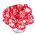 Goździk ogrodowy malinowy - Raspberry ripple - 110 nasion