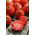 Pomidor – wysoki Red Pear - 120 nasion