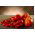 Pomidor – wysoki Red Pear - 120 nasion