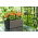 Kwietnik Begonia rattan frappe - 19 x 56 cm