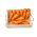 Marchew Chantenay - 2550 nasion