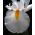 Irys holenderski White Excelsior - 10 cebulek