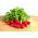 Rzodkiewka Cherry Belle - 850 nasion