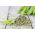 Seler listkowy Green cutting - na susz - 520 nasion