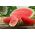 Arbuz, kawon Sugar Baby - 23 nasion