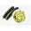 Cukinia Black Beauty - 19 nasion