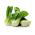 Kapusta chińska Pak-Choi Joi Choi