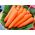 Marchew Amsterdam 3 - 100 gram - 85000 nasion