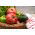 Pomidor Pink Wonder F1 - malinowy szklarniowy - 7 nasion