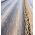 Folia perforowana przeźroczysta - 1,5 m x 10 m