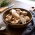 Shiitake - Duża paczka - 100 szt. - grzybnia na kołkach