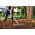 Grabie metalowe uniwersalne - ERGO - 37 cm - CELLFAST