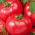 Pomidor Faworyt - gruntowy malinowy - owoce do 0,5 kg - 10 gram