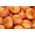 Cebula Stuttgarter Riesen - 100 gram - 25000 nasion