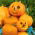 Dynia ozdobna Halloween - najlepsza do rzeźbienia - 15 nasion