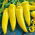 Papryka ostra węgierska Hungarian yellow wax hot - 70 nasion