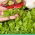 Microgreens - Sałata zielona - młode listki o unikalnym smaku - 1250 nasion