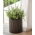 Doniczka okrągła duża - śr. 43,7 cm - Cylinder Planter - brązowa