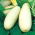 Kabaczek Long White Bush 2 - 14 nasion