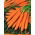 Marchew Amsterdam 3 - 100 gram - 85000 nasion
