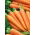 Marchew Polka F1 - niezwykle plenna - 4250 nasion