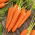 Marchew Koral - 50 gram - 42500 nasion