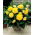 Begonia strzępiasta Fimbriata - żółta - 2 bulwy