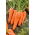 Marchew Galicja F1 - 2550 nasion