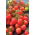 Pomidor Garden Perle - intensywnie czerwony, typu cherry