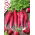 Rzodkiew letnia Ostergruss Rosa 2