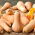 Dynia piżmowa Waltham Butternut