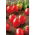 Pomidor Principe Borghese - gruntowy, typu cherry