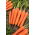 Marchew Kinga F1 - 5100 nasion