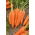 Marchew Salsa F1 - 4250 nasion