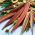 Okra, Ketmia jadalna Burgundy - 30 nasion