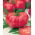 Pomidor VP1 F1 Pink King - szklarniowy, malinowy - 12 nasion