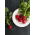 Rzodkiewka Cherry Belle   (czerwona) - b. wczesna - 100 g