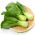 Kapusta chińska Pak-Choi Joi Choi