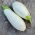 Oberżyna, Bakłażan White Egg - 125 nasion