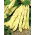 Fasola Goldmarie - szparagowa typu Mamut - 100 gram - 300 nasion