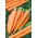 Marchew Flyaway F1 - średnio wczesna - 450 nasion