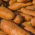 Marchew pastewna Krystyna - 10 g