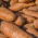 Marchew pastewna Krystyna - 200 g